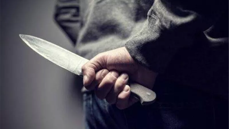 مريض نفسي يُنهي حياة جدته ذبحا في المنصورة
