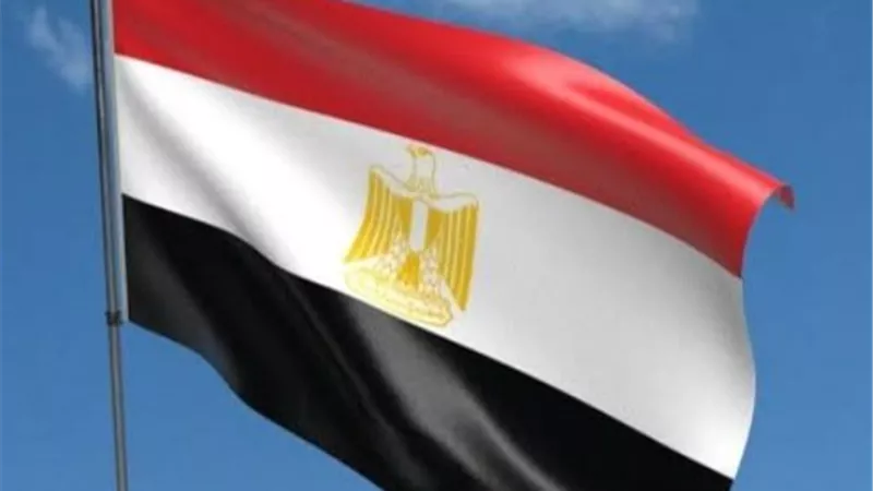 مصر تدعي الدول لإدانة قوات الإحتلال الإسرائيلي ومساعدة غزة 