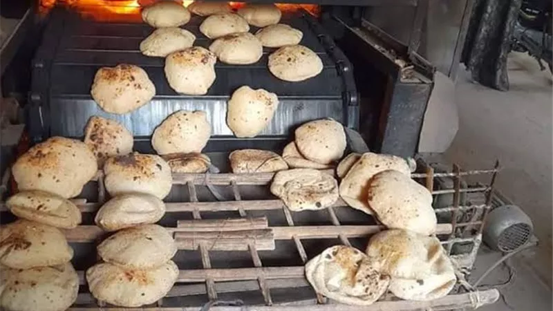 ضبط أصحاب 3 مخابز لاستيلائهم علي 22 جوال دقيق بلدي مدعم بالغربية