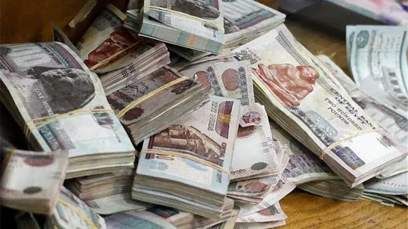 النقد الدولي يُتيح 8 مليارات دولار تمويل للقاهرة بعد خفض الجنيه المصري