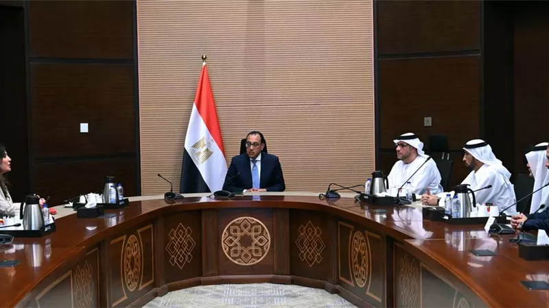 تعاون مصري إماراتي للتوسع في مجال النفط والغاز بالسوق المصرية