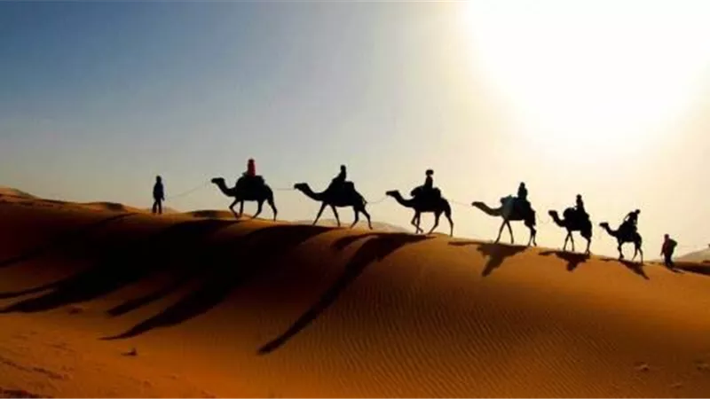 من الهجرة والحصار إلى عام الحزن في حياة خاتم المرسلين