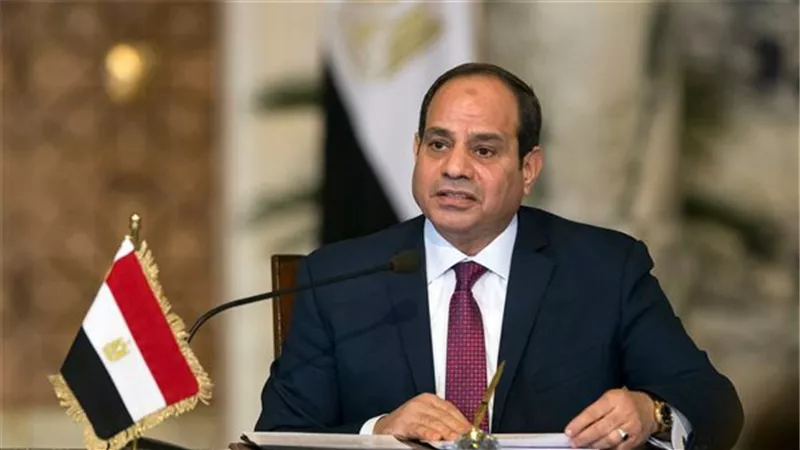 السيسي يوجه الحكومة بدراسة آليات خفض مخاطر الاستثمار