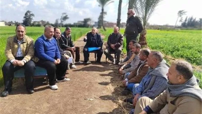 زراعة الشرقية تُنفذ يوم حقلي إرشادي لمزارعي قرية كراديس بديرب نجم