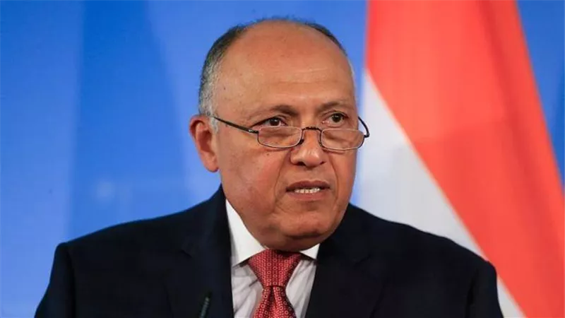 وزير الخارجية يؤكد تضامن مصر مع الصومال ضد محاولات انتهاك سيادته وسلامة أراضيه