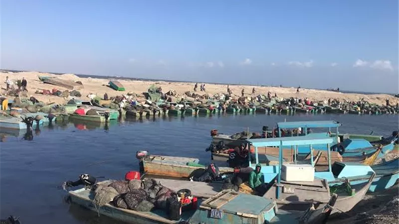 الزراعة: تطوير بحيرات سيناء يساهم في زيادة الإنتاج السمكي