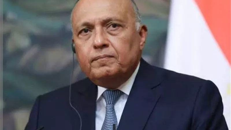 وزير الخارجية يتلقى اتصالاً هاتفياً من وزير خارجية فنزويلا