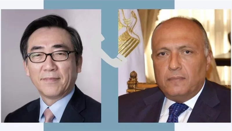 وزير الخارجية ونظيره الكوري يبحثان تعزيز التعاون الاقتصادي والاستثماري بين البلدين