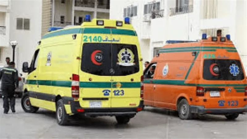 بالأسماء.. إصابة 10 عمال جراء انقلاب سيارة نقل في البحيرة