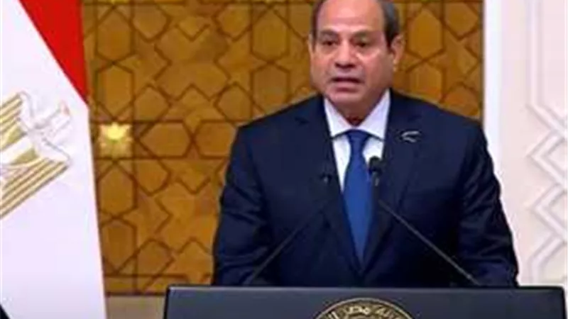 السيسي: معاناة الفلسطنيين لن تتوقف الإ بحل الدولتين