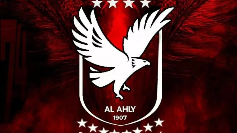 حجز دعوى بطلان عمومية النادي الأهلي للحكم