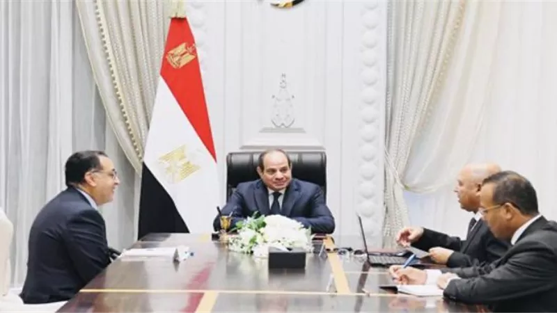السيسي يوجه بتعزيز نشاط الموانئ المصرية إقليميًا وعالميًا