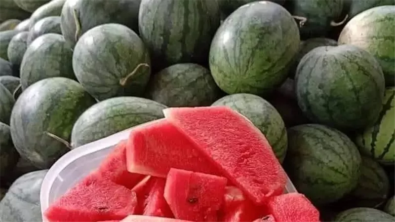 الحكومة تنفى صحة انتشار بطيخ مسرطن بمختلف الأسواق