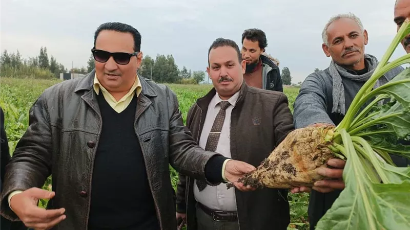 لجنة من الزراعة تتابع تنفيذ الزراعات التعاقدية والشتوية بدمياط
