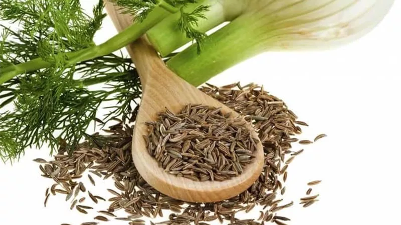 الشمر يعالج الاكتئاب والحموضة وعسر الهضم