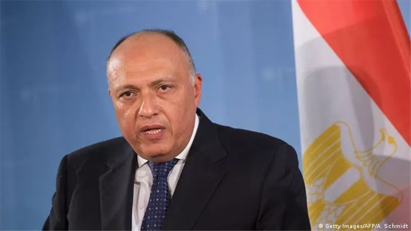 وزير الخارجية: حل الدولتين هو السبيل الوحيد لضمان تحقيق السلام