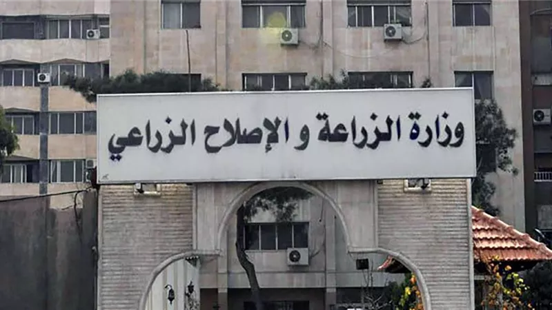 تعرف على أهم ما ورد في التقارير الدولية بشأن ملف الأسمدة