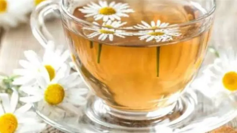 مهدئ البابونج.. تناوله أمير كرارة بمسلسل بيت الرفاعي تعرف عليه