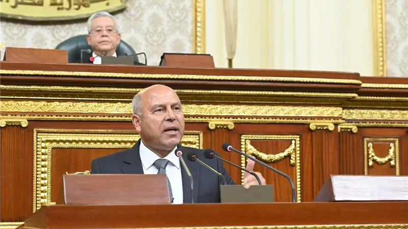 الوزير: 
