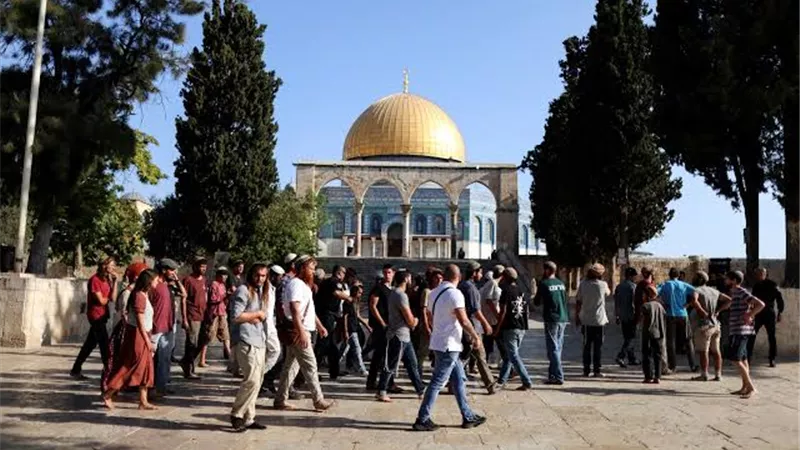 في حماية قوات الاحتلال.. مستوطنون يقتحمون المسجد الأقصى