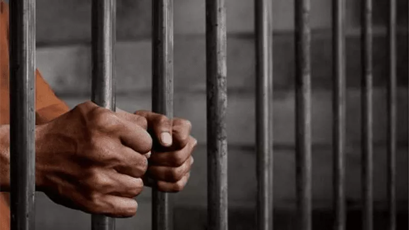 الإدارية تُحيل فني زراعي بإدارة بني سويف الزراعية إلى المحكمة التأديبية