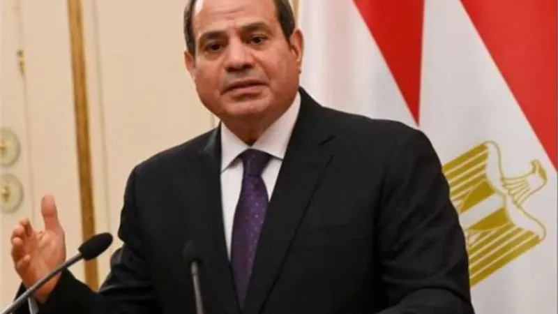 بوساطة مصرية قطرية.. السيسي يرحب بنجاح الوصول لاتفاق هدنة إنسانية في غزة