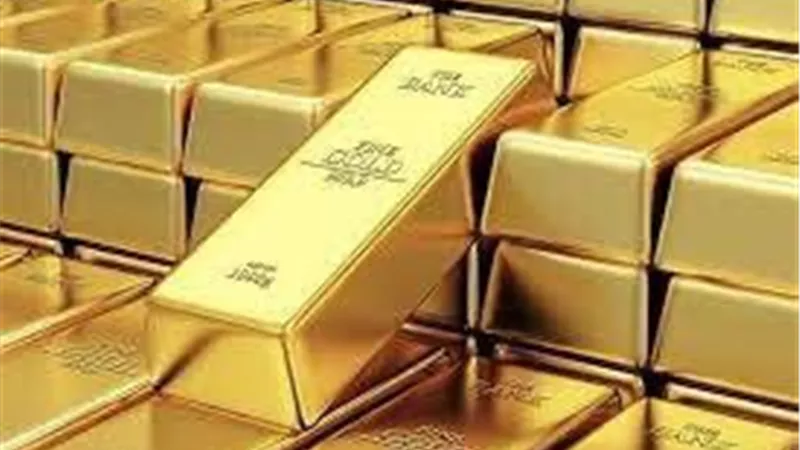الأمن العام يداهم عصابة التنقيب غير الشرعي عن خام الذهب