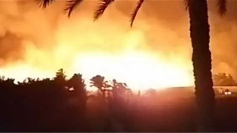 مصرع شخص جراء حريق أشجار النخيل فى أسوان