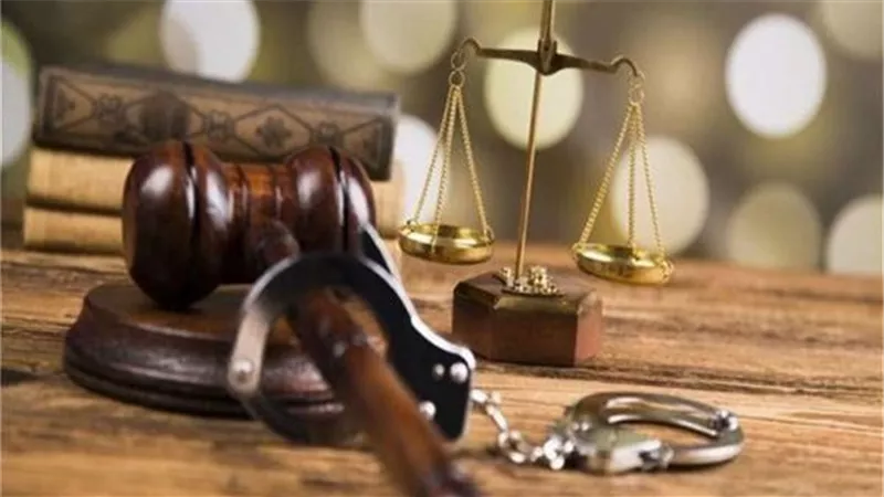 الدائرة الأولي إرهاب تُحدد أولى جلسات متهمي «داعش سوهاج»