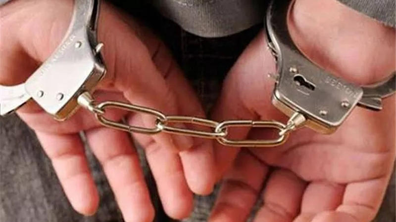 استئناف القاهرة تُحدد أولي جلسات المتهم في قضية الرضيعة السودانية