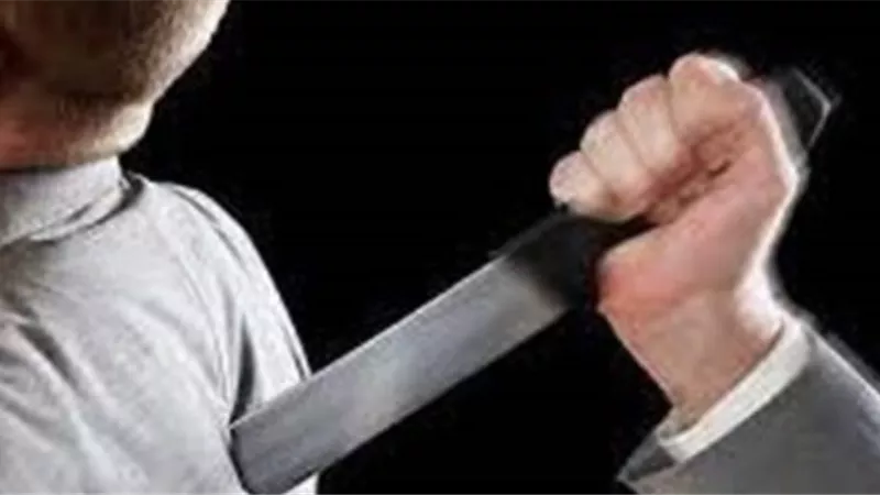 مذبحة أسرية.. مقتل عامل وطعن نجله أثناء جلسة طلاق في الشرابية