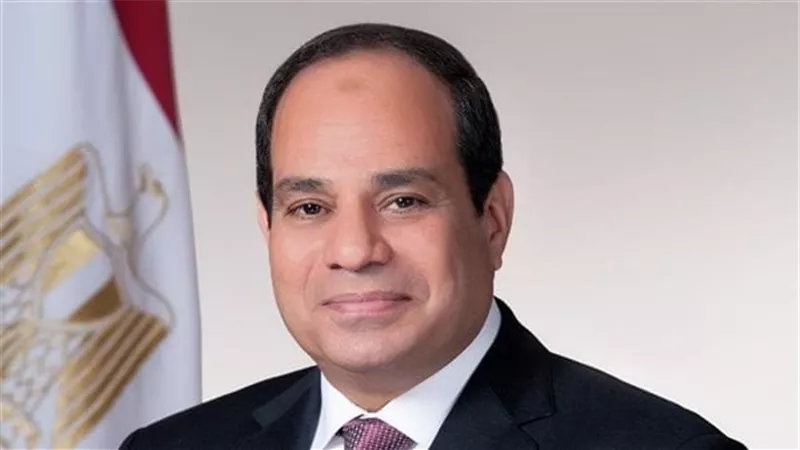 السيسي يوجه الحكومة بدراسة الإشراف القضائي الكامل على العملية الانتخابية