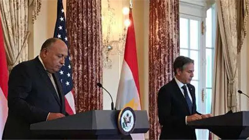 شكري: مصر ترفض مخططات التهجير لتصفية القضية الفلسطينية