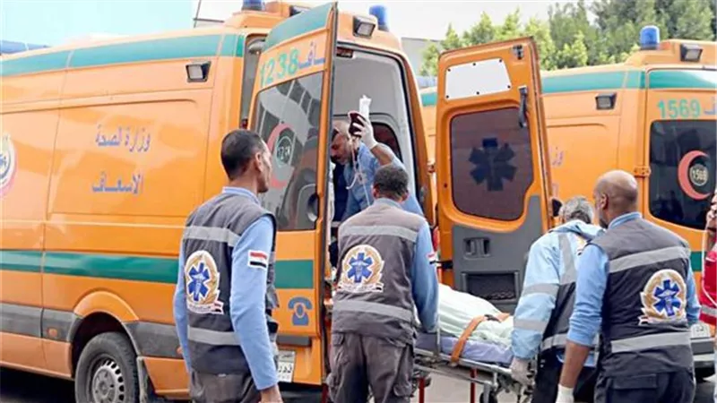 قائد سيارة يُطيح بـ 4 أشخاص في الشيخ زايد