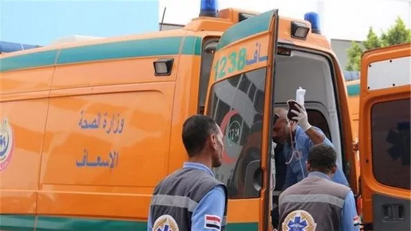 مع نهاية يوم عيد الأم.. شاب يُنهي حياة والدته بالشرقية