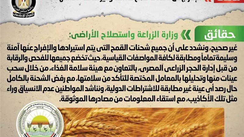 «الحكومة» تنفي الإفراج عن شحنات قمح فاسدة وغير صالحة للاستهلاك