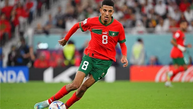 ودية البرازيل تسدل الستار على موسم أوناحي