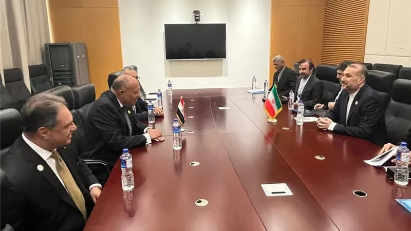 شكري يلتقي بنظيره الإيراني على هامش القمة الإسلامية ببانجول