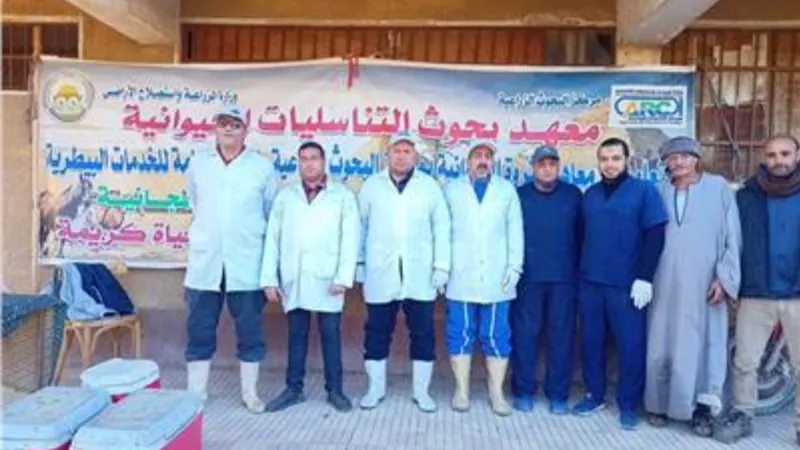الزراعة تعلن علاج وفحص المواشي مجاناً ضمن مبادرة «حياة كريمة»