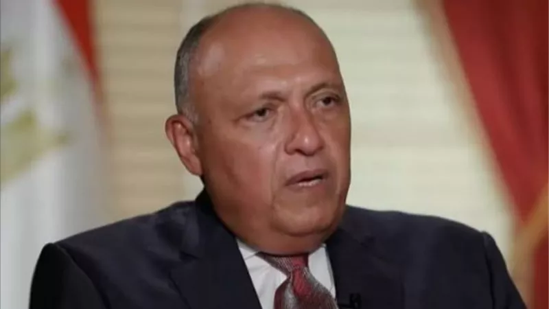 «شكري» يؤكد دعم مصر الكامل لأمن واستقرار العراق