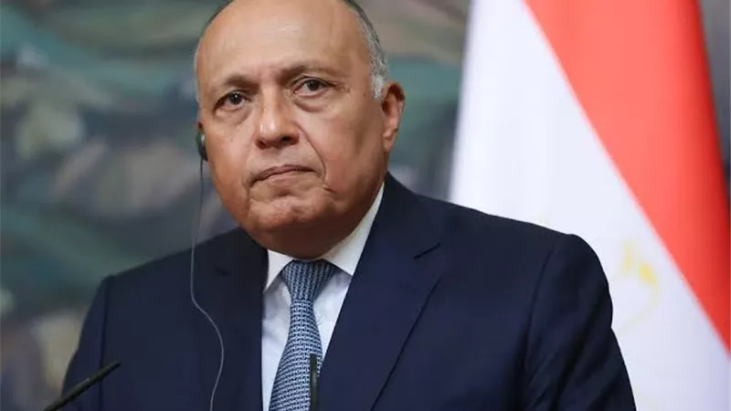 وزير الخارجية ونظيره الألماني يجريان مباحثات ثنائية لوقف إطلاق النار