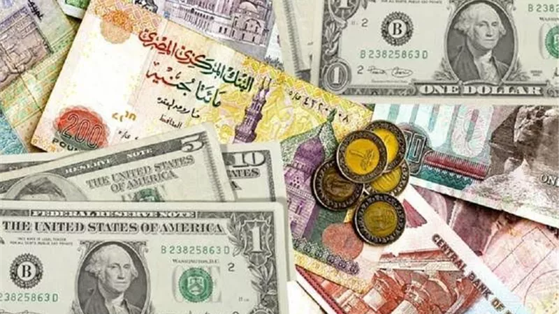 سعر صرف الدولار والعملات العربية مقابل الجنيه المصري