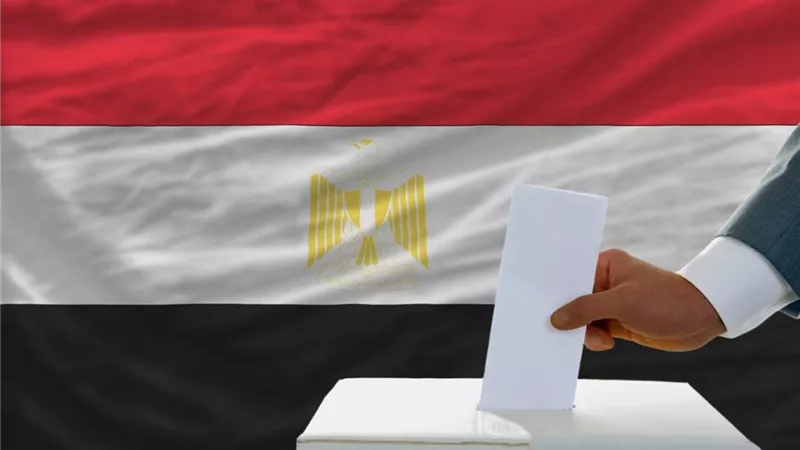 انتخابات الرئاسة 2024.. الهيئة الوطنية تؤكد انتظام التصويت بالخارج دون معوقات