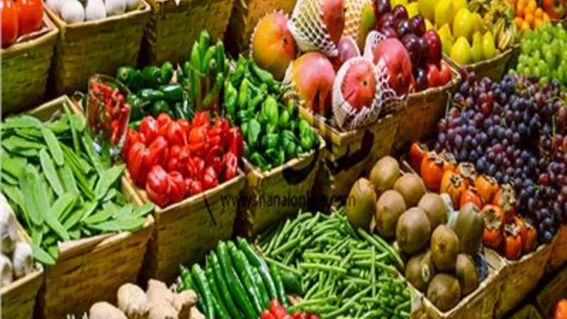 البامية بـ 45 والبصل بـ 20.. أسعار الخضروات بالأسواق المصرية