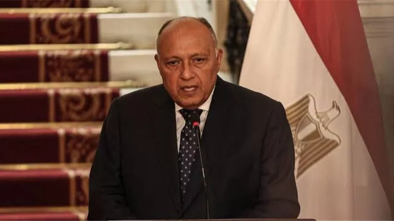 وزير الخارجية يؤكد التزام مصر الراسخ تجاه القضية الفلسطينية