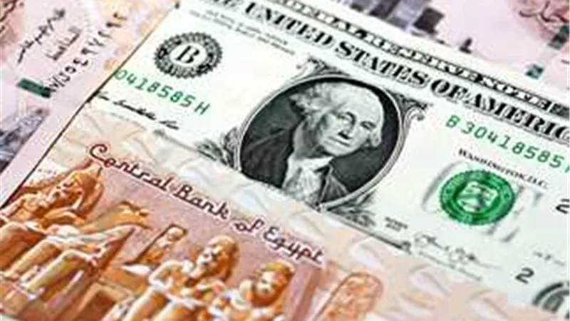 تذبذب طفيف في أسعار العملات الأجنبية أمام الجنيه المصري  بالبنك المركزي