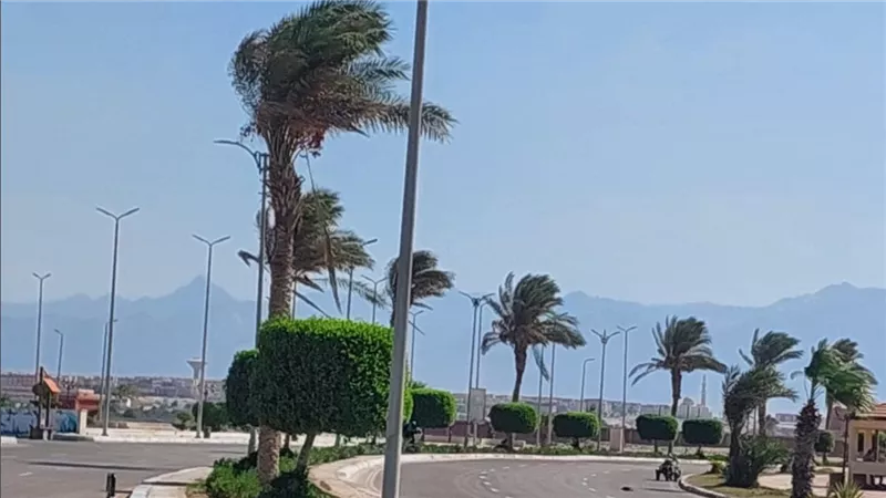 الأرصاد.. طقس مائل للحرارة على القاهرة.. ورياح مثيرة للرمال بالوادي الجديد
