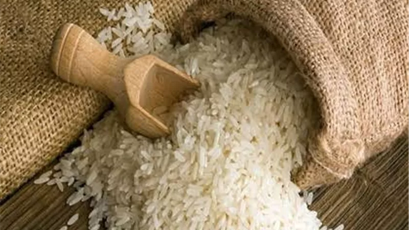 «الحكومة» تنفي وجود عجز في معروض الأرز بالأسواق 