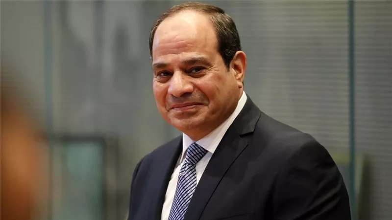 السيسي: الحل لإنهاء أزمة الدولار بـ يد المصريين ورجال الأعمال