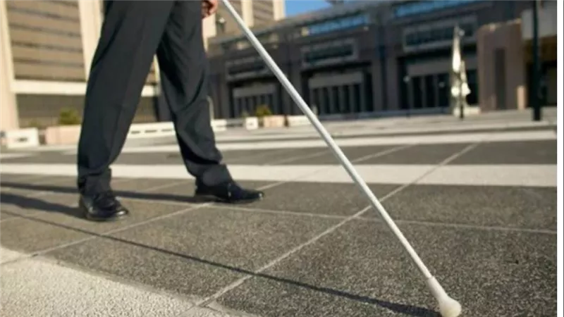 التضامن تعلن استخراج وثائق السفر لـ ذوي الإعاقة البصرية مجاناً
